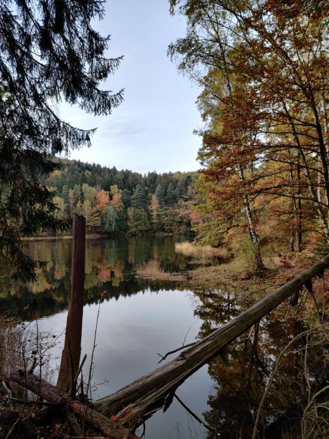 Osrodek Lesny Rajsko W Zapuscie Hotell Zapusta Exteriör bild